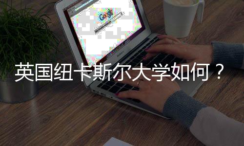 英国纽卡斯尔大学如何?