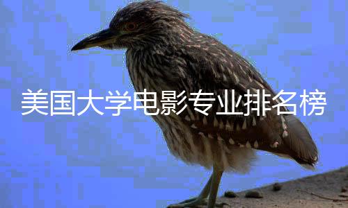 美国大学电影专业排名榜单!
