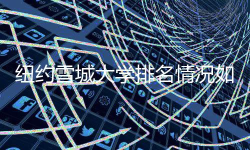 纽约雪城大学排名情况如何?