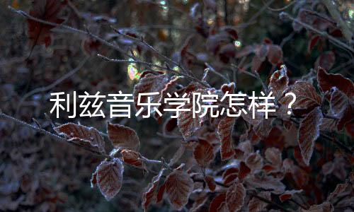 利兹音乐学院怎样？