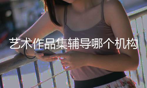 艺术作品集辅导哪个机构好?