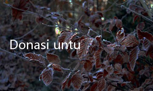 Donasi untuk Rahma Penderita Penyakit Tulang Langka lewat Berbuatbaik