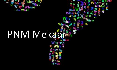 PNM Mekaar Bantu Transformasi Bisnis Ibu Putri: Dari Pinjaman Rp2 Juta hingga masuk Mall