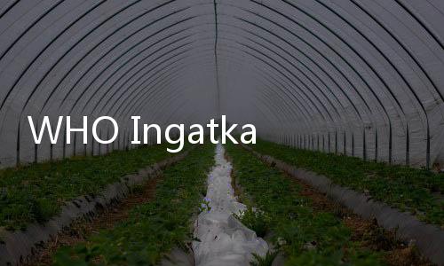 WHO Ingatkan Dunia Waspada Penyakit X