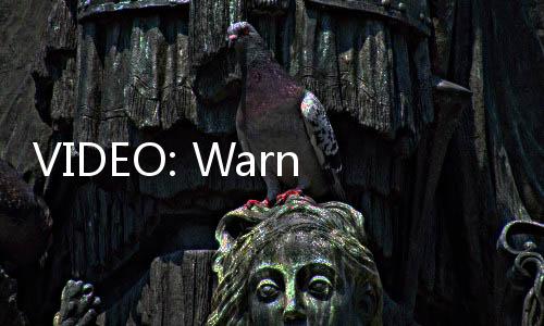 VIDEO: Warna